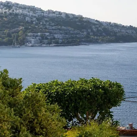 Private Beach - Sea View, 3 Bedroom In Gundogan, Bodrum 京多安